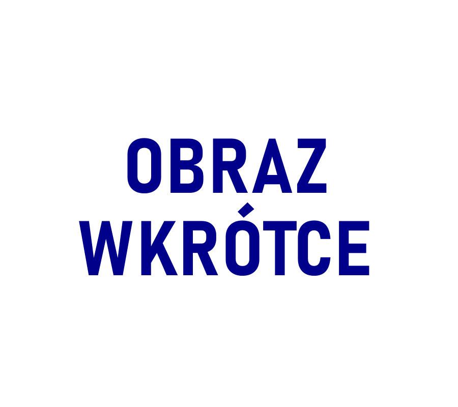 Porównanie rolek wózków do bram